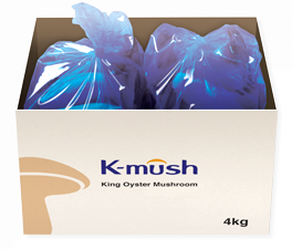 King Oyster Mushroom 4kg