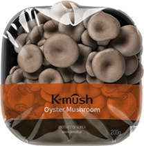 Oyster Mushroom 1pcs(200g)