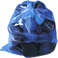 King Oyster Mushroom 2kg