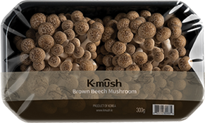 Beech Mushroom Brown 1pcs(300g)