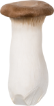 King Oyster Mushroom
