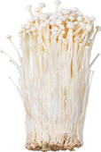 Enoki Mushroom