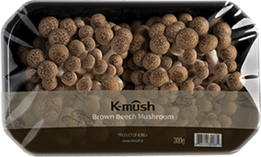 만가닥버섯 갈색 1pcs(300g)